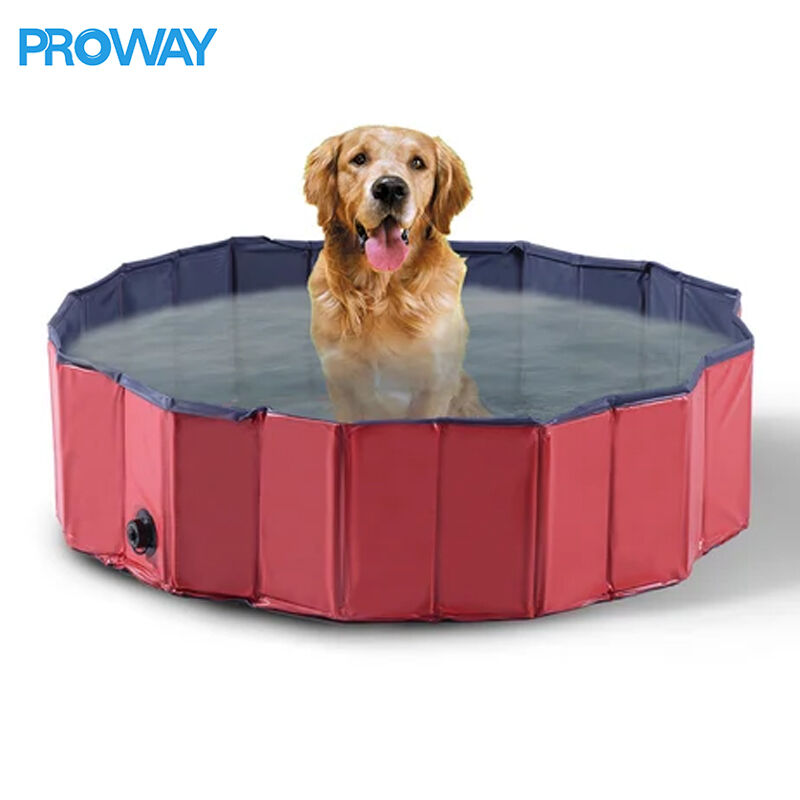 Foldable PVC Pet Pool: Collapsible Dog Swimming Tub with Drain Plug—Portable, Durable Bathing Pool for Dogs/Cats (Outdoor/Indoor Use)